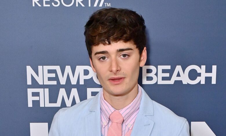 noah schnapp sexualität